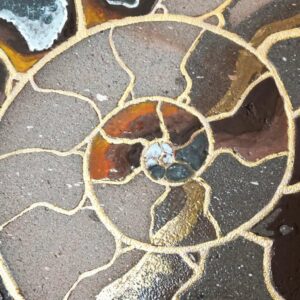 ammonite nervure or lave détail